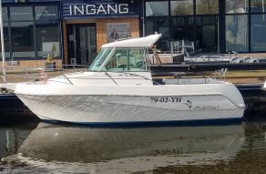 Faeton 630 Moraga Top