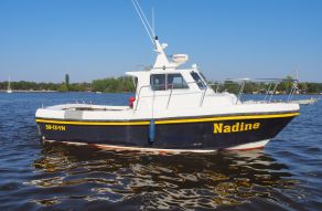 Cygnus Cyclone 26
