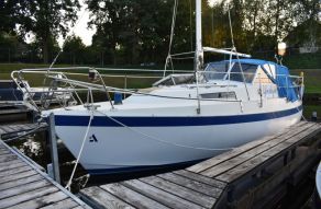 Albin 82 MS