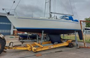 Spirit 36