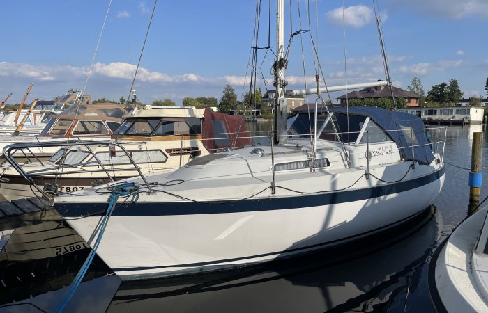 Albin 82 MS, Sailing Yacht for sale by Vaarmakelaar