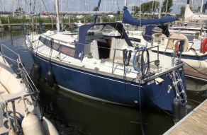 Dufour 31