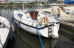 Aloa 25
