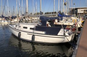 Hunter 27