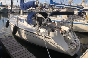 Dehler 31