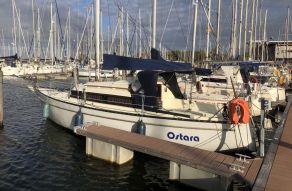 Sturgeon 28
