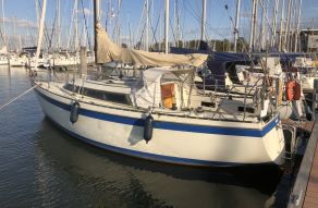 Friendship 28