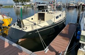 Mistral Sirocco 31